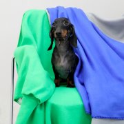 Плед PATIO, синий арт. 16008.29