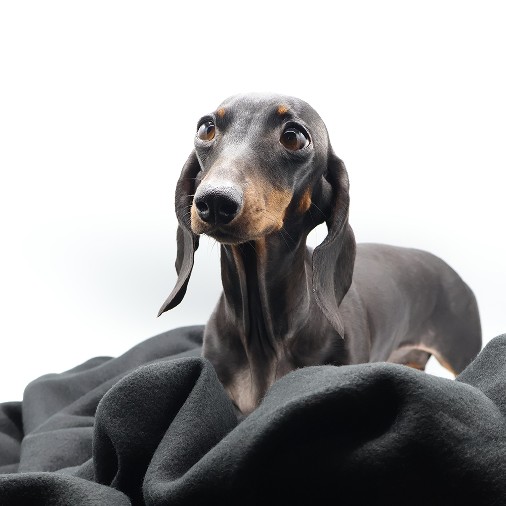 Плед PATIO, черный арт. 16008.02 Плед PATIO, черный арт. 16008.02