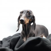 Плед PATIO, черный арт. 16008.02 Плед PATIO, черный арт. 16008.02