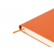 Ежедневник недатированный А5 «Grand»