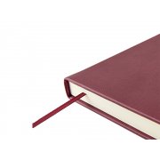 Ежедневник недатированный А5 «Status»