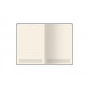 Ежедневник недатированный А5 «Status»