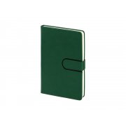 Ежедневник недатированный А5 «Status»