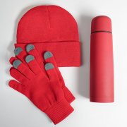 Набор подарочный GET WARM: перчатки, шапка, термос; красный Красный арт. 39531/08