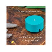 Умная колонка ЯНДЕКС Станция Лайт 5Вт, с Алисой