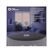 Умная колонка ЯНДЕКС Станция Мини 3 с Алисой на YaGPT, 12 Вт