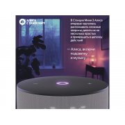 Умная колонка ЯНДЕКС Станция Мини 3 с Алисой на YaGPT, 12 Вт