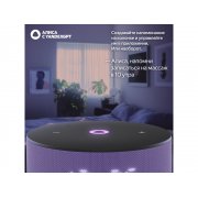 Умная колонка ЯНДЕКС Станция Мини 3 с Алисой на YaGPT, 12 Вт