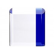 Награда «Triumph»