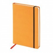 Ежедневники и блокноты