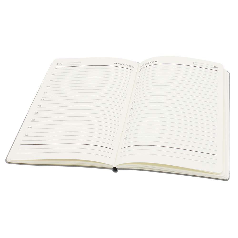 Ежедневник A5 недатированный Equator в мягком переплёте, серый с серебристым арт. 51015.31.09 Ежедневник A5 недатированный Equator в мягком переплёте, серый с серебристым арт. 51015.31.09