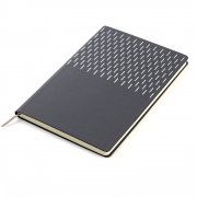 Ежедневник A5 недатированный Esmeralda в мягком переплёте, серый с серебристым арт. 51014.20.09