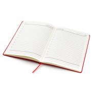 Ежедневник A5 недатированный Esmeralda в мягком переплёте, красный с серебристым арт. 51014.05.09