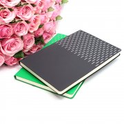 Ежедневник A5 недатированный Esmeralda в мягком переплёте, чёрный с серебристым арт. 51014.02.09