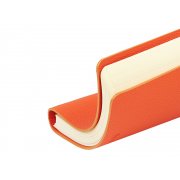 Ежедневник недатированный А5 «Alba»