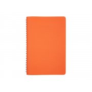 Ежедневник недатированный А5 «Alba»