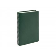Ежедневник недатированный А5 «Alba»