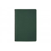 Ежедневник недатированный А5 «Alba»