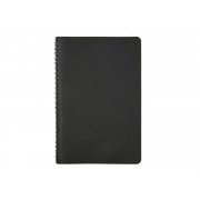 Ежедневник недатированный А5 «Alba»