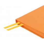 Ежедневник недатированный А5 «Megapolis Nappa»