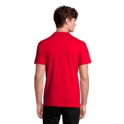 Рубашка поло мужская SPRING II 210 Красный арт. 711362.145