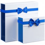 Коробка Gallant, M, белая с синим арт. 24029.64 Коробка Gallant, M, белая с синим арт. 24029.64