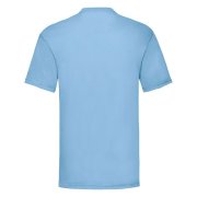 Футболка мужская VALUEWEIGHT T 165 Голубой арт. 610360.YT Футболка мужская VALUEWEIGHT T 165 Голубой арт. 610360.YT