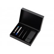 Подарочный набор ручек со сменными стержнями «Dumas»