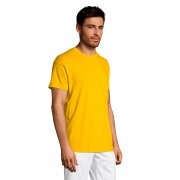 Футболка мужская REGENT150 Жёлтый арт. 711380.301