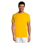 Футболка мужская REGENT150 Жёлтый арт. 711380.301