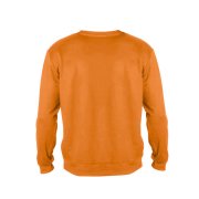 Толстовка свитшот унисекс ANTARES 260 Оранжевый арт. 52100.400