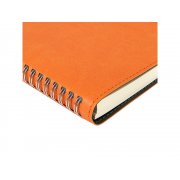 Ежедневник А5 «Tintoretto»