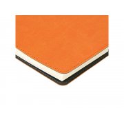 Ежедневник А5 «Tintoretto»