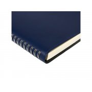 Ежедневник А5 «Tintoretto»