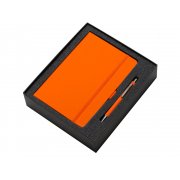 Подарочный набор «Vision Pro Plus 2.0»