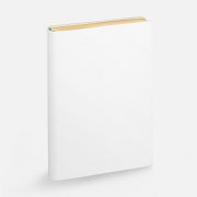 Ежедневник Nebraska Flex, недатированный, белый с золотистым