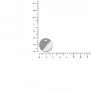 Шильдик металлический Alfa Sirkel, серебристый глянцевый арт. 19725.02 Шильдик металлический Alfa Sirkel, серебристый глянцевый арт. 19725.02