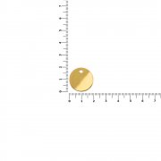 Шильдик металлический Alfa Sirkel, золотистый глянцевый арт. 19725.01 Шильдик металлический Alfa Sirkel, золотистый глянцевый арт. 19725.01