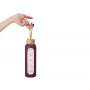 Бутылка из боросиликатного стекла «Hangy», 550 мл