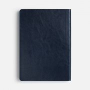 Ежедневник Doppio, недатированный, синий с голубым арт. 26022.44