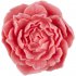 Спа-набор Floralia Спа-набор Floralia