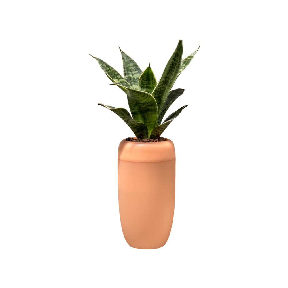 Горшок с крышкой, оранжевый арт. QL10304-OR Горшок с крышкой, оранжевый арт. QL10304-OR