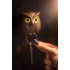 Брелок для ключей Night Owl арт. QL10195-BN Брелок для ключей Night Owl арт. QL10195-BN