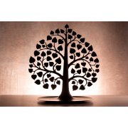 Декоративный органайзер для украшений Bodhi, черный