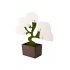 Органайзер настольный Bonsai Органайзер настольный Bonsai
