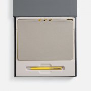 Набор Flexpen Grey, желтый арт. 22421.18 Набор Flexpen Grey, желтый арт. 22421.18