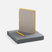 Набор Flexpen Grey, желтый арт. 22421.18 Набор Flexpen Grey, желтый арт. 22421.18