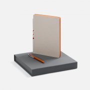 Набор Flexpen Grey, оранжевый арт. 22421.12 Набор Flexpen Grey, оранжевый арт. 22421.12