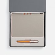 Набор Flexpen Grey, оранжевый арт. 22421.12 Набор Flexpen Grey, оранжевый арт. 22421.12