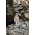Бутылка для воды VINGA Lean из rPET RCS, 800 мл арт. V4330500 Бутылка для воды VINGA Lean из rPET RCS, 800 мл арт. V4330500